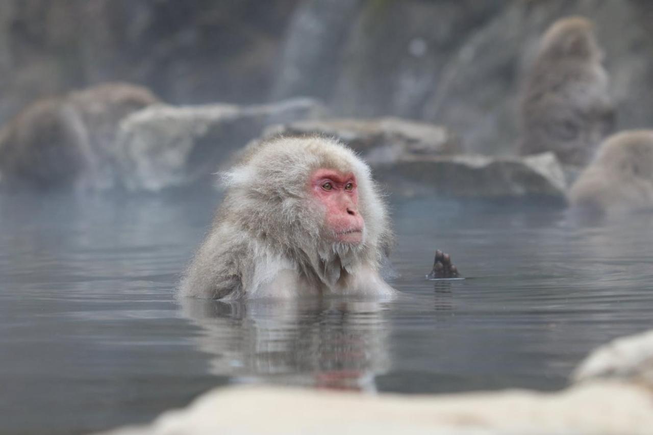 ゲストハウスMatsushiro Walkers 長野市 エクステリア 写真